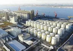 中糧集團在烏克蘭打造現(xiàn)代化糧油樞紐，助推全球供應鏈穩(wěn)定發(fā)展